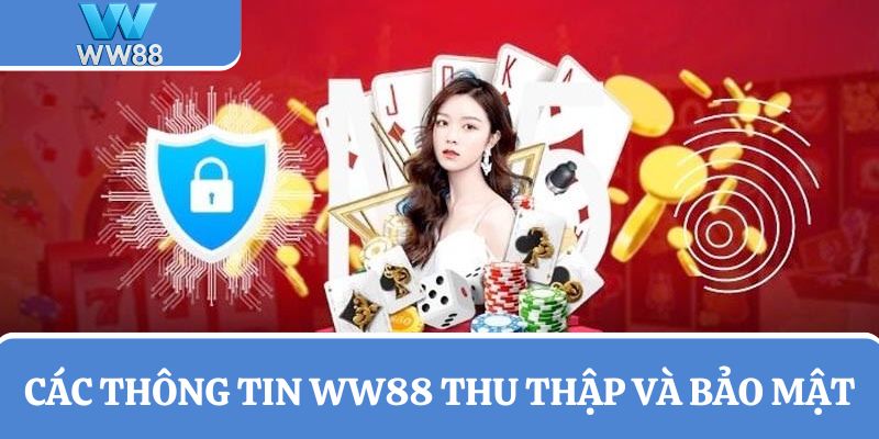 Các thông tin được nhà cái thu thập và tiến hành bảo mật